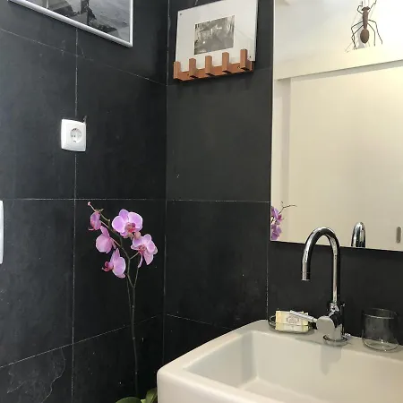 Lv Premier C.ourique Appartement *